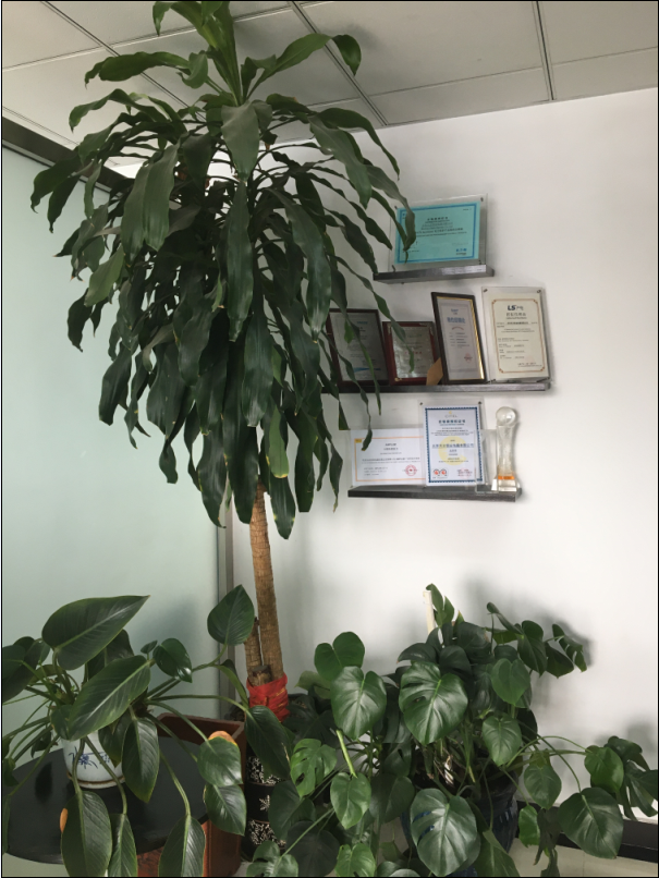 品牌授權(quán)證書展示區(qū)